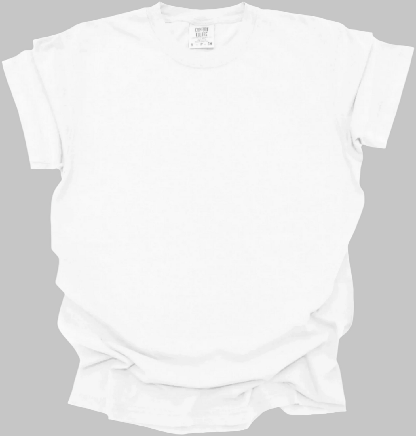 Blank Comfort Colors 1717 Women’s T-Shirt (Multiple Colors)