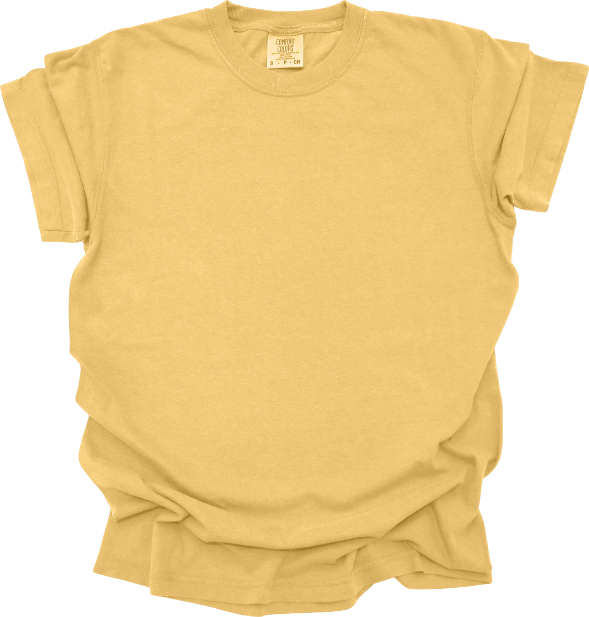 True Patriot Charlie Kirk Comfort Colors T-Shirt T-Shirt