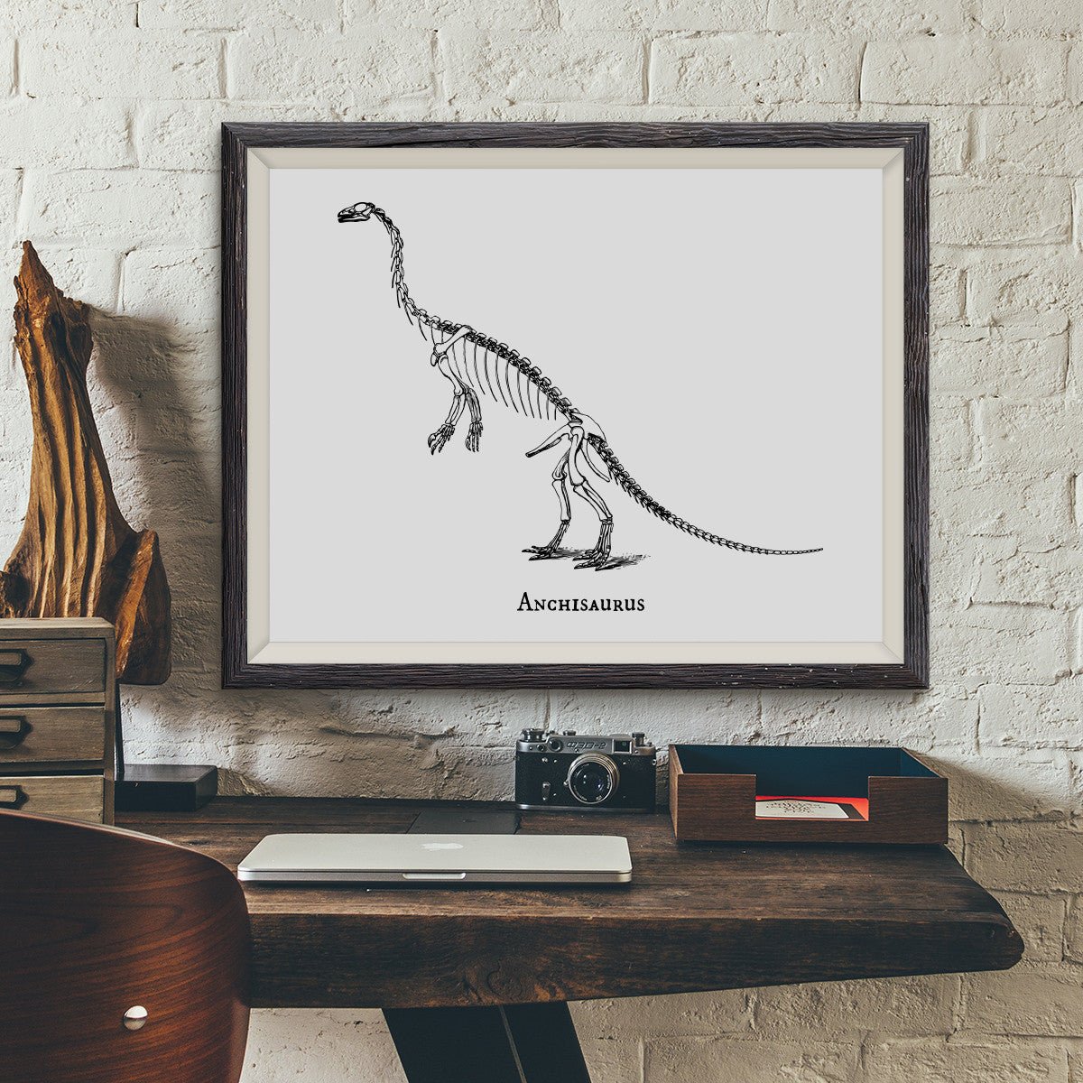 Anchisaurus Vintage Dinosaur Illustration - VividEditions
